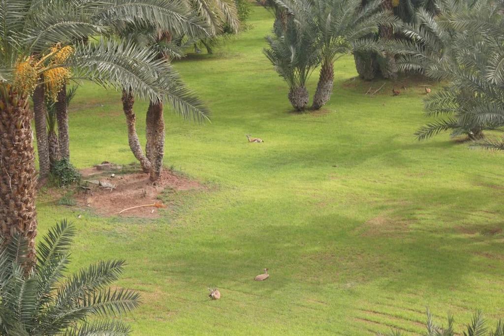Riad Nolya Luxury Marrakech - Totalement Renove - Capacite Jusqu A 10 Lits Spacieux Marakeş Dış mekan fotoğraf